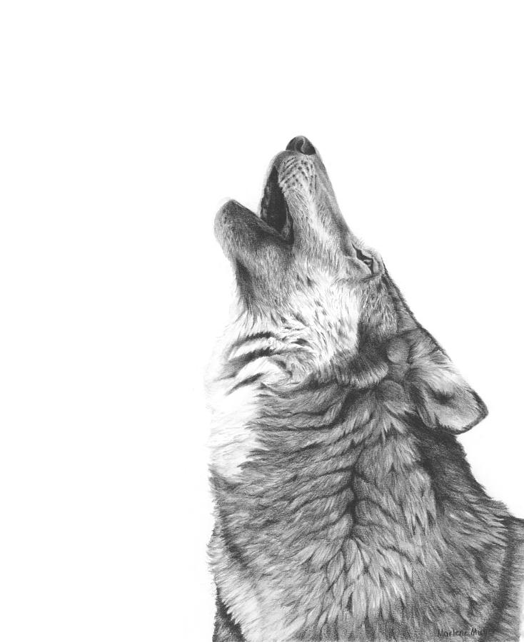 How to Draw a Wolf Face & Head Step by Step - EasyDrawingTips