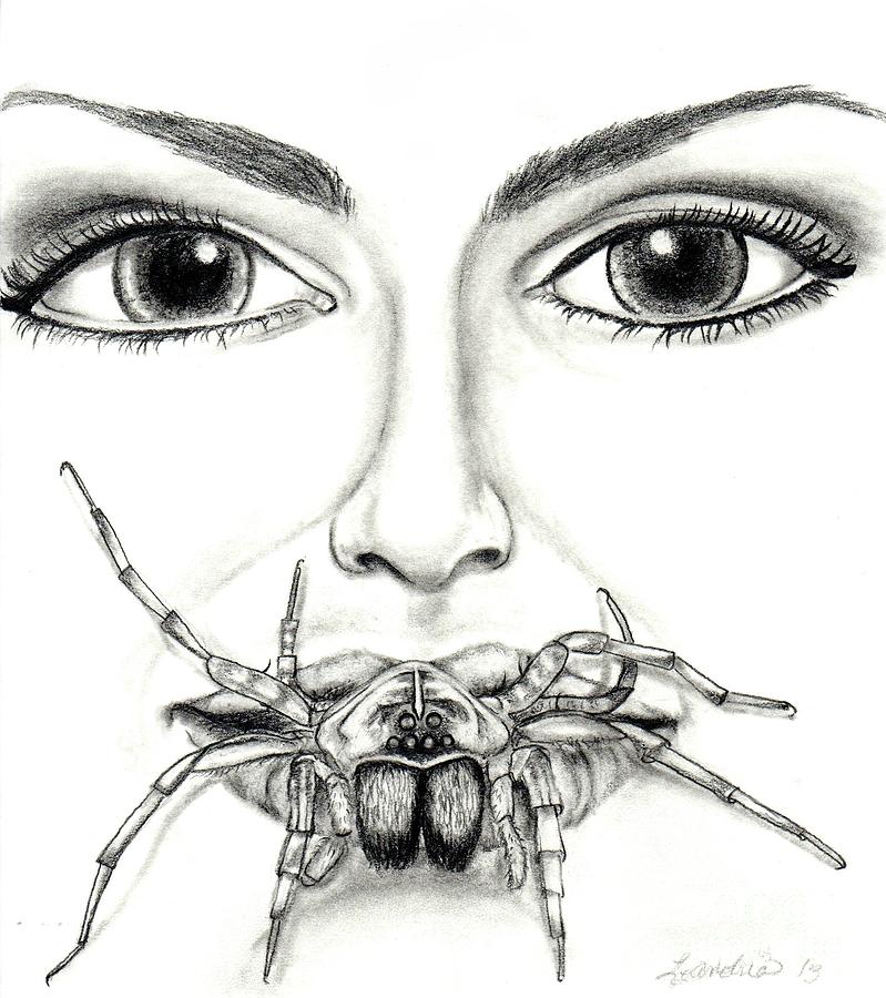 Wolf Spider Drawing Drawing by Leandria Goodman Fine Art America