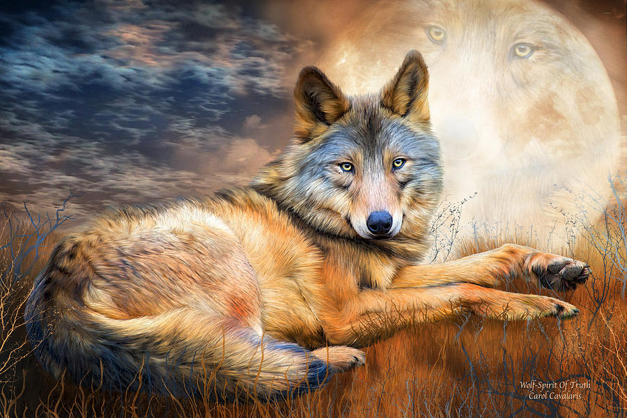 Wolf - Spirit Of Truth Mixed Media by Carol Cavalaris