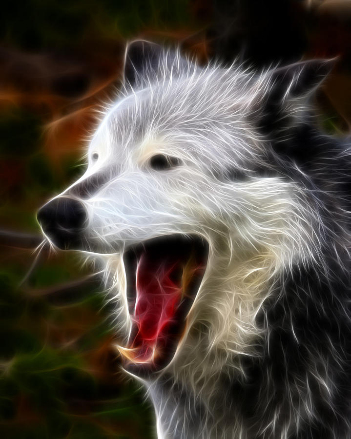 Wolves Photograph - Wolf Yawn by Steve McKinzie