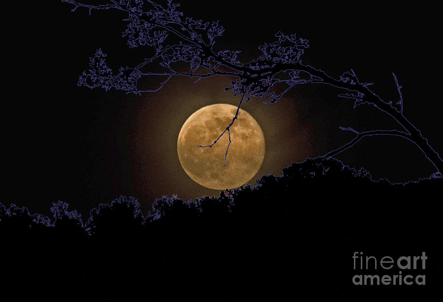 Moon Photograph - Wolfbane Moon by Paul Mashburn