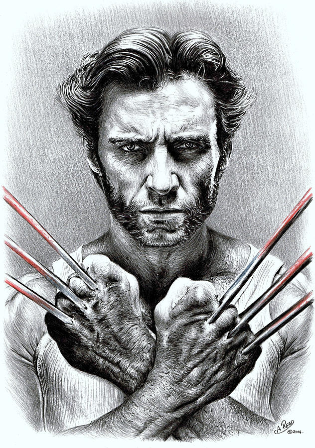 X Men Movie Drawing - Wolverine by Andrew Read