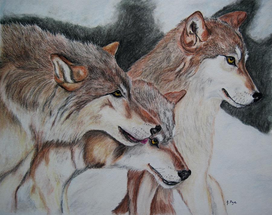 Wolves Drawing - Wolves by Joan Pye