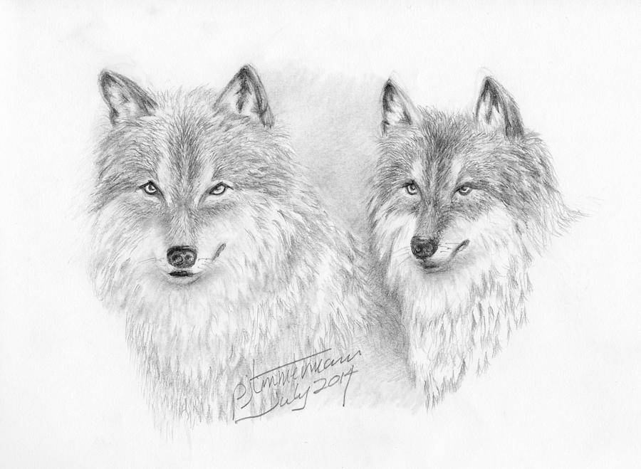 Wolves Drawing by PJ Timmermans - Fine Art America