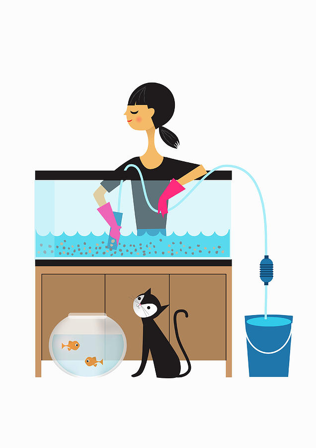Woman Cleaning Out Fish Tank Photograph by Ikon Ikon Images