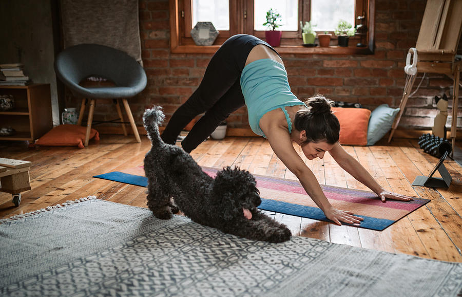 Woman doing yoga with her dog Photograph by Hobo_018