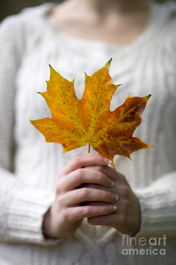Woman Holding An Autumn Leaf Photograph by Lee Avison