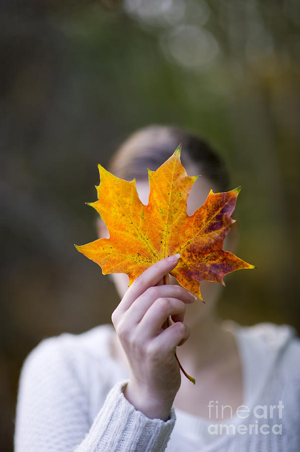 Woman Holding An Autumnal Leaf Photograph by Lee Avison
