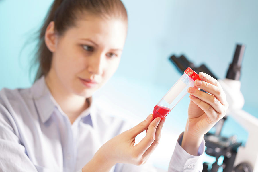 Woman Holding Blood Sample In Test Tube Photograph By Wladimir Bulgar ...