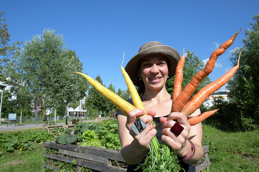 Woman Holding Carrots Photograph by Gombert, Sigrid