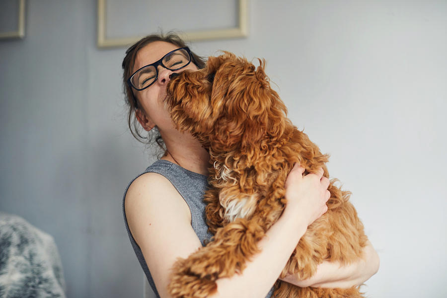 Woman holding her pet dog Photograph by Sally Anscombe