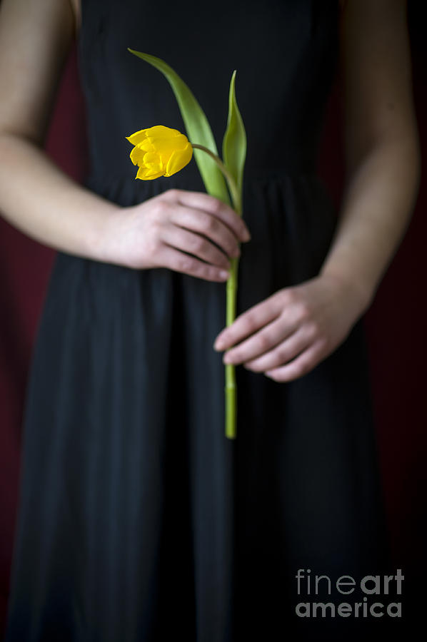 Woman In A Black Dress Holding A Yellow Tulip Photograph by Lee Avison