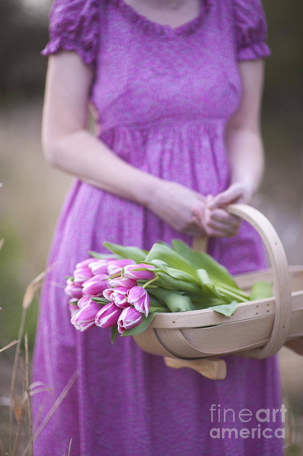Woman In A Pink Dress Holding A Trug Of Pink Tulips Photograph by Lee Avison