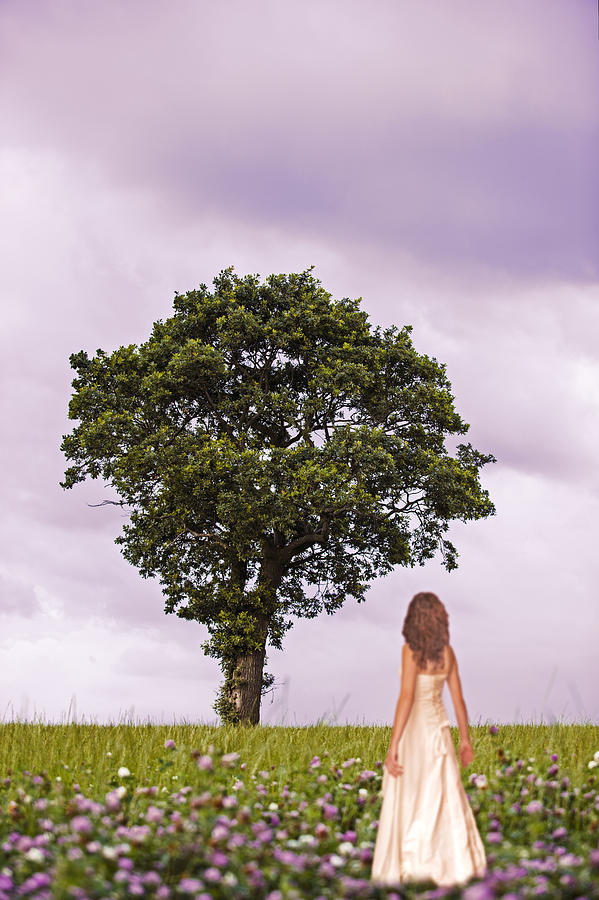 Summer Photograph - Woman In Country Field by Amanda Elwell