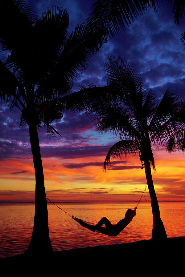 Woman In Hammock, And Palm Trees Photograph by David Wall - Fine Art ...