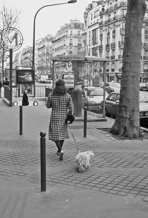 Woman in Paris Walking Dog Photograph by Matthew Bamberg
