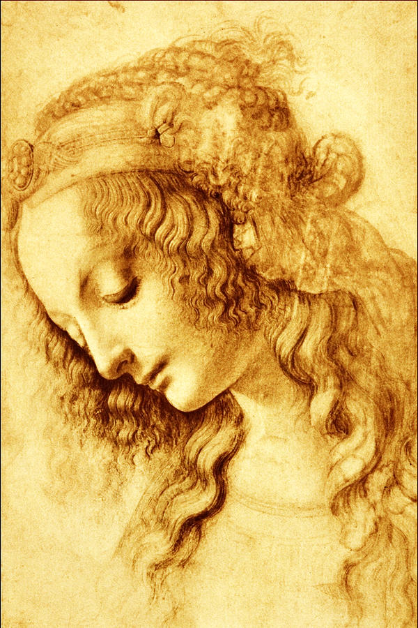 Woman in Profile Painting by Leonardo Da Vinci