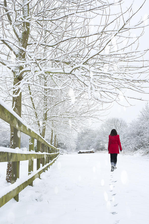 Tree Photograph - Woman In Red Coat by Amanda Elwell
