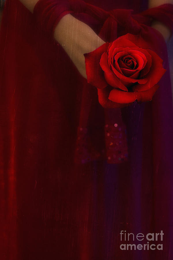 Woman in Red with Rose Photograph by Susan Gary