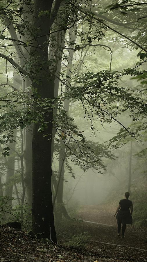 Woman Jogging In The Misty Forest Photograph by Susan.k.