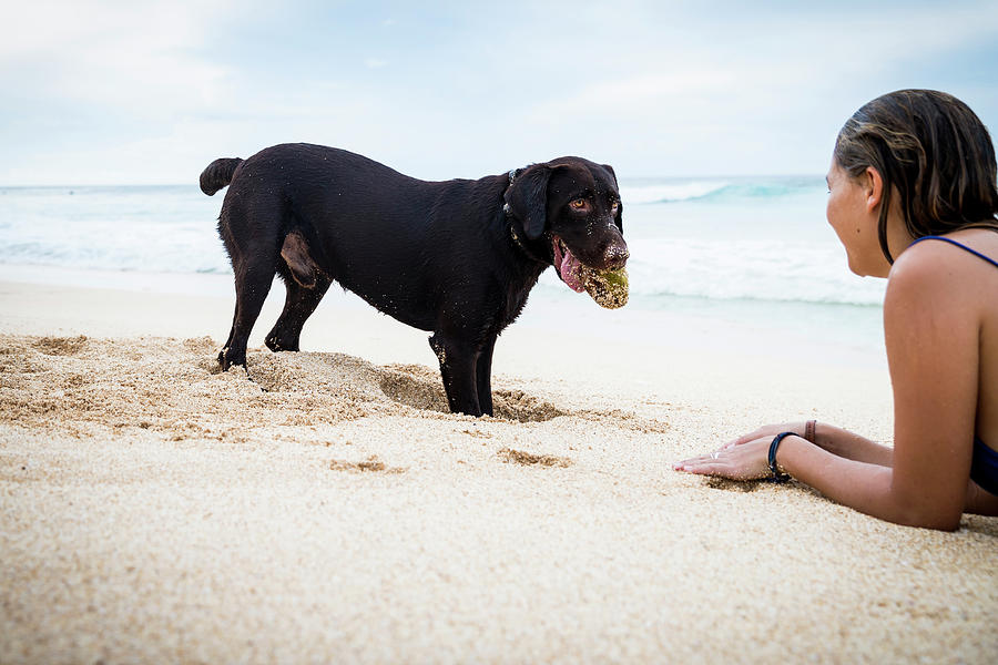 Beach Photograph - Woman Playing With Dog At Beach by Alexandra Simone