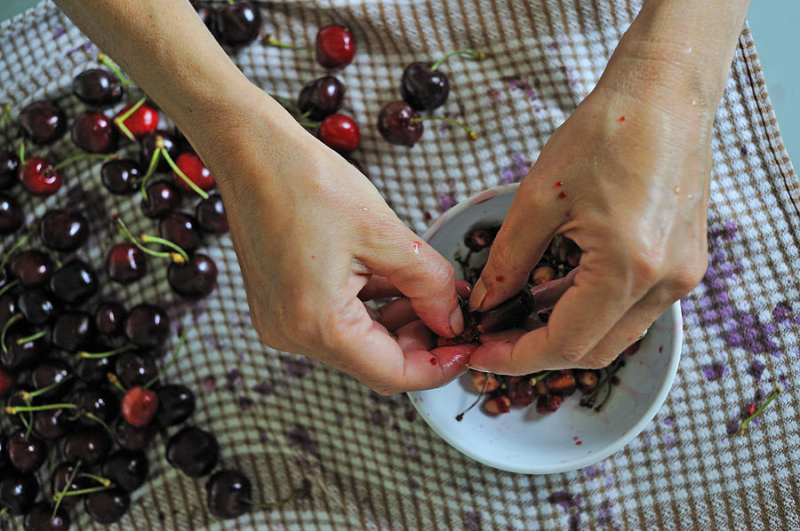 Woman removing pits from cherries Photograph by Sami Sarkis