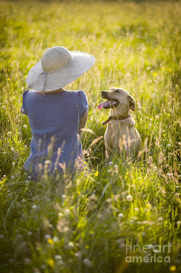 Woman Sitting In A Summer Meadow With Her Dog Photograph by Lee Avison
