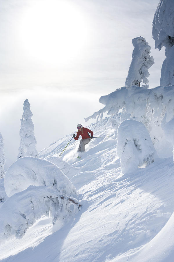 Woman Skiing Down Through The Trees Photograph by Woods Wheatcroft - Pixels