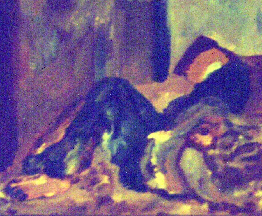 Woman Sleeping in a Chair Painting by Shea Holliman