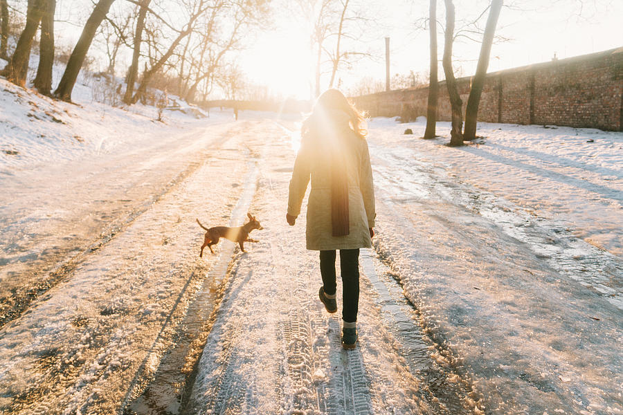 Woman walking in park with dog in winter Photograph by Oleh_Slobodeniuk