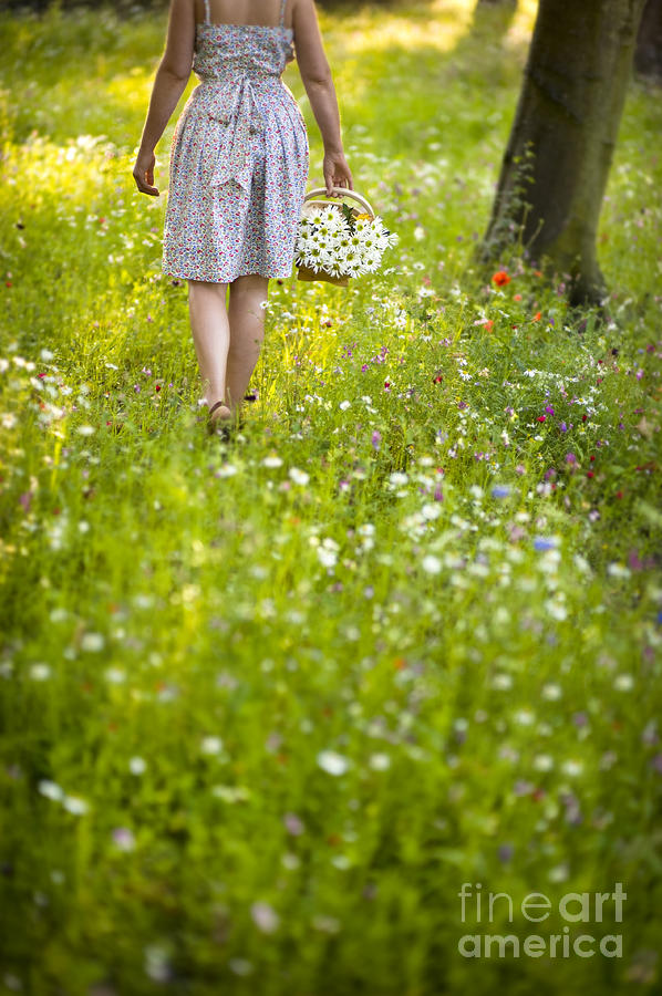 Woman Walking Through A Wild Flower Meadow With A Basket Of Flow Photograph by Lee Avison