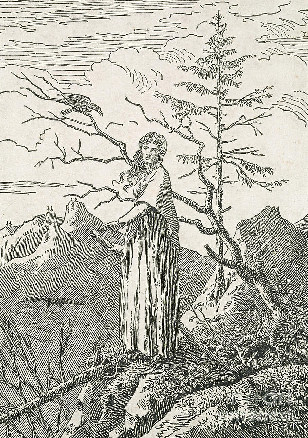 Caspar David Friedrich Painting - Woman with a Raven on the Edge of a Precipice by Caspar David Friedrich