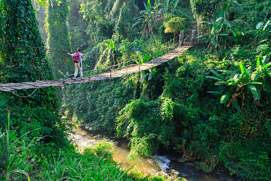 Woman with backpack on suspension bridge in rainforest Photograph by FredFroese