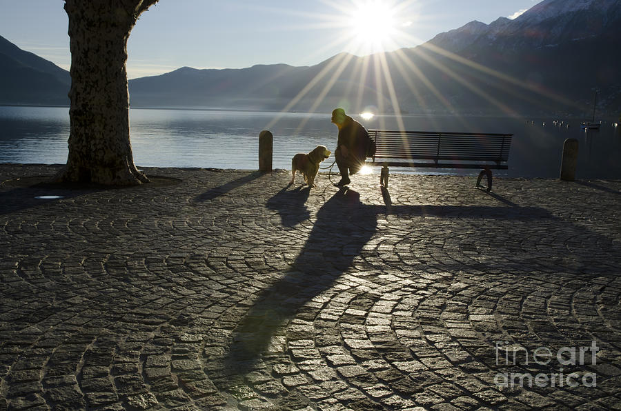 Sunset Photograph - Woman with her dog in backlight by Mats Silvan