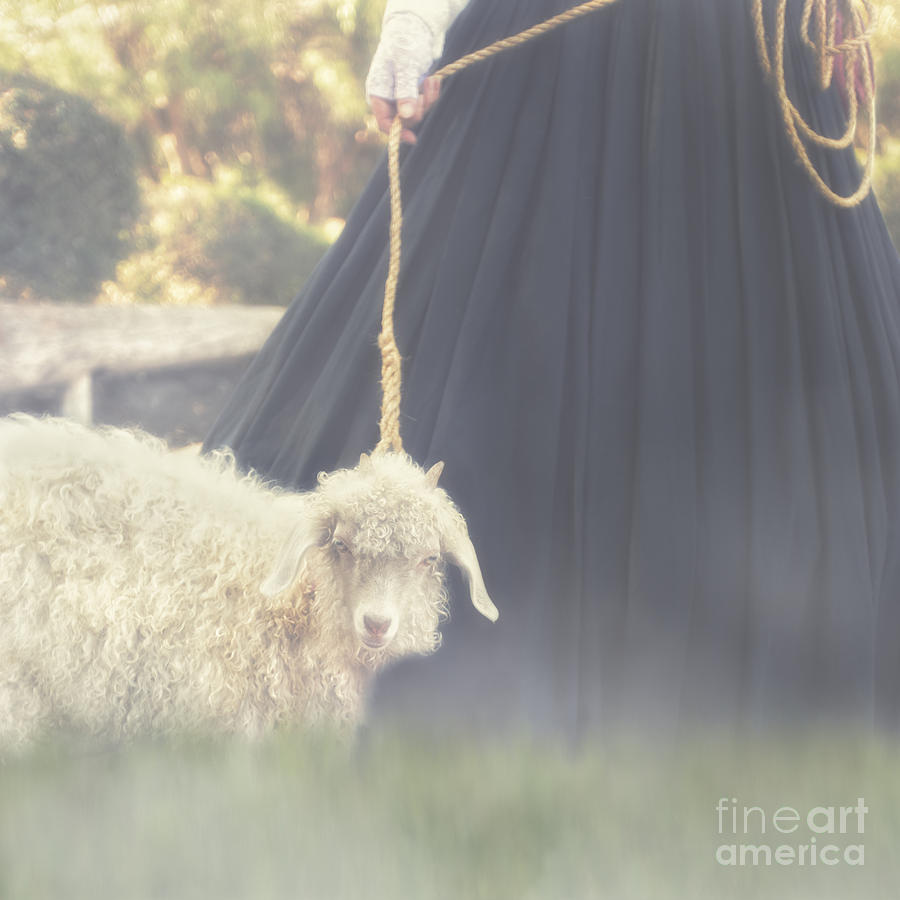 Woman With Sheep Digital Art by Susan Gary