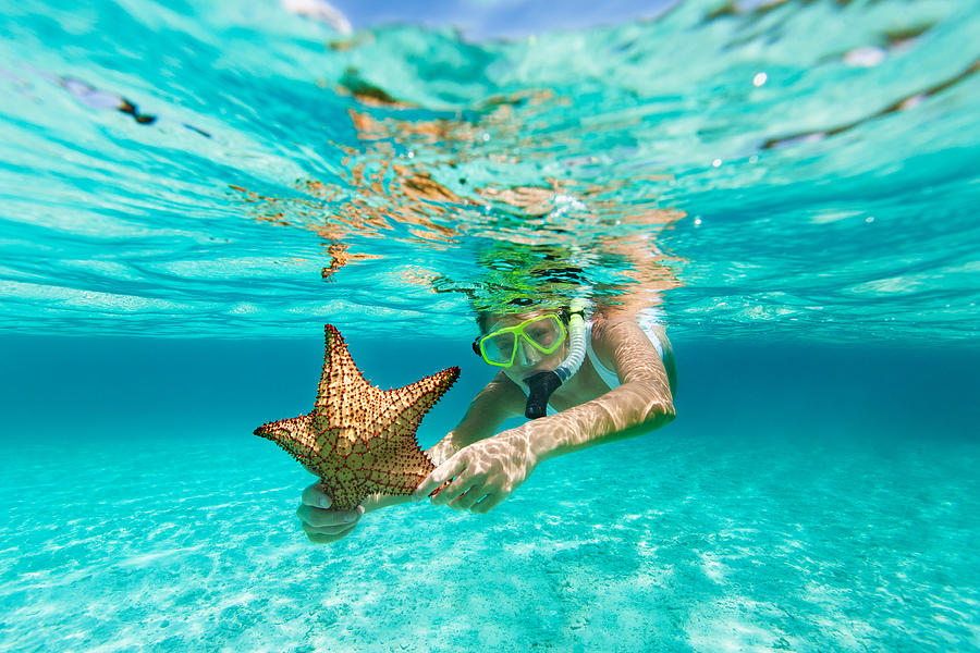 Woman With Snorkel And Mask Holding A Starfish Photograph by Cdwheatley