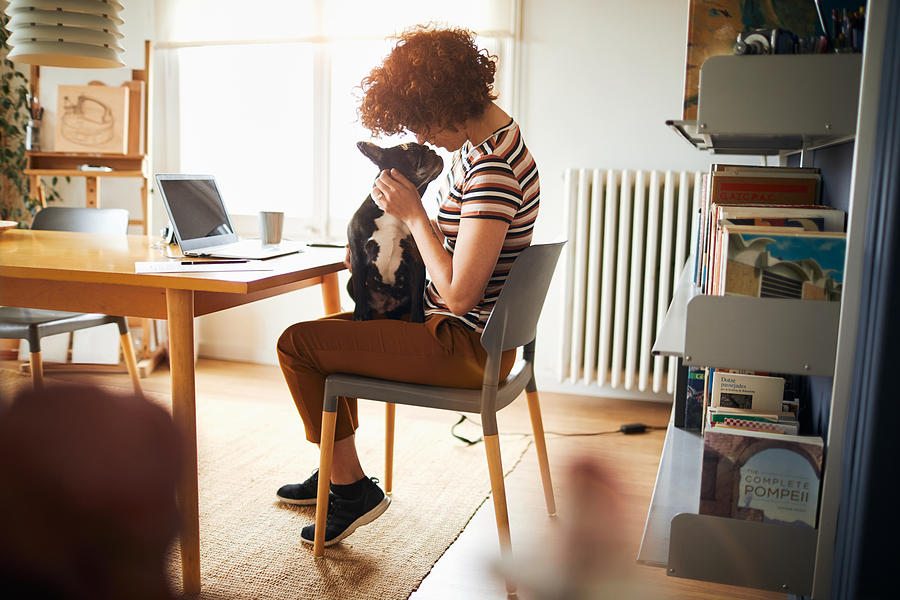Woman working at home doing home finances. Photograph by Tempura