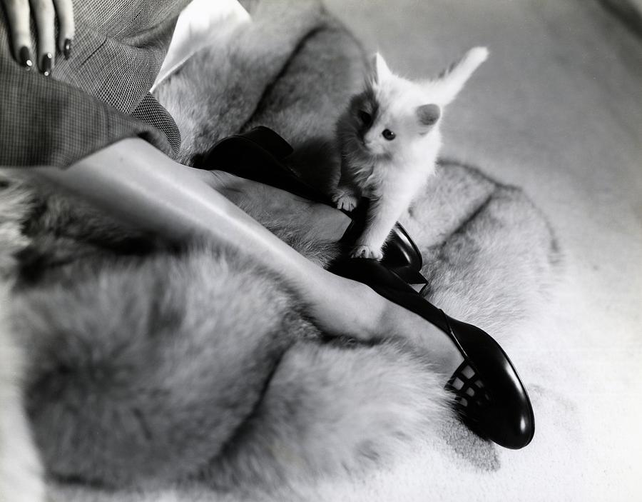 Womans Feet Wearing Pumps With A Kitten Photograph by Horst P. Horst Womans Feet Wearing Pumps With A Kitten Photograph by Horst P. Horst