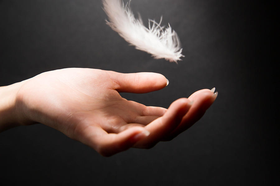 Womans hand catching a feather Photograph by Yuichiro Chino