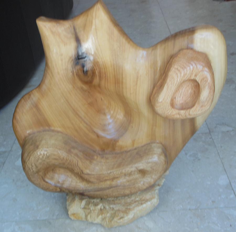 African Mahogany Sculpture - Womb and Ovaries Front view by Esther Newman-Cohen