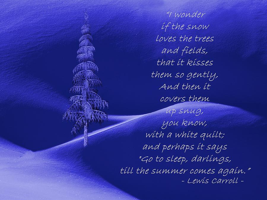 Wonder If the Snow Loves the Trees Digital Art by David Dehner