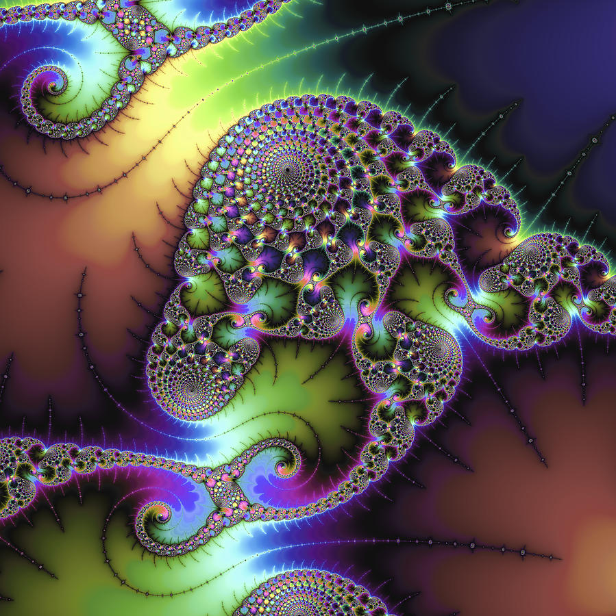 Abstract Digital Art - Wonderful colored fractal art square format by Matthias Hauser