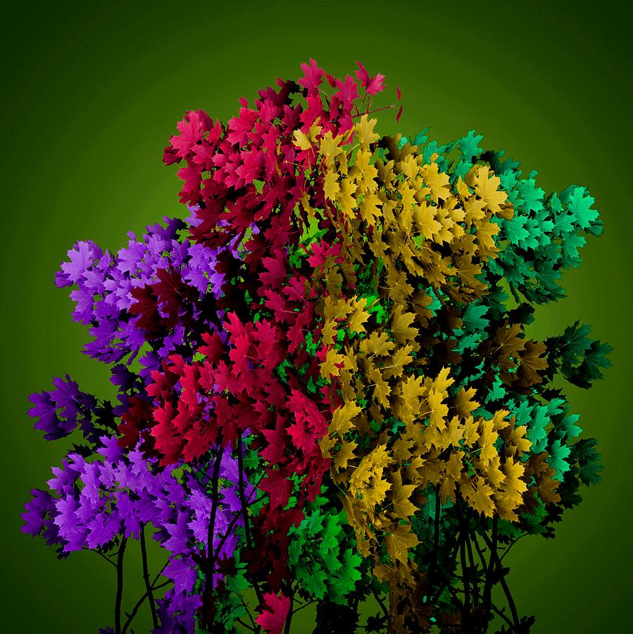 Wonderful Colors 2 Mixed Media by Pepita Selles