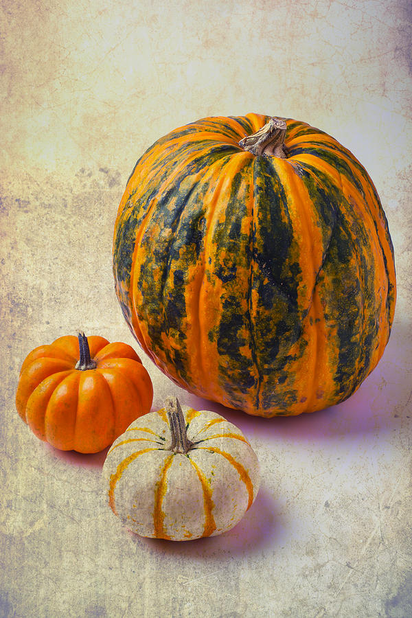 Fruit Photograph - Wonderful pumpkins by Garry Gay