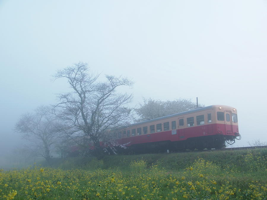 Wonderful Spring Dawn Photograph by Trains