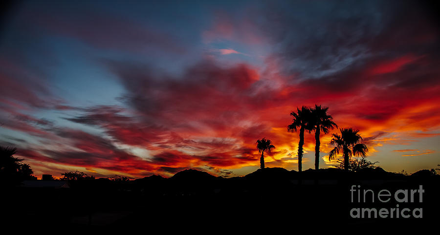 Wonderful  Sunrise Photograph by Robert Bales