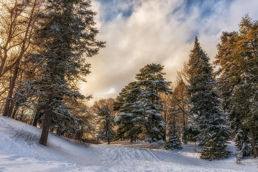 Winter Photograph - Wonderland by Mark Papke