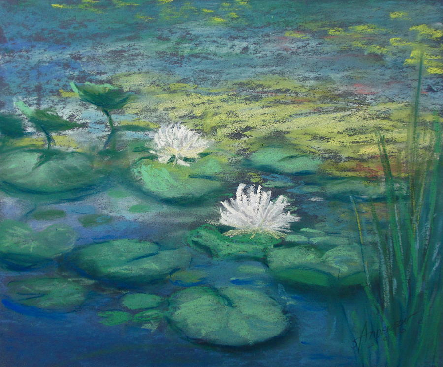 Water Pastel - Wonders in Water by Sherri Anderson Water Pastel - Wonders in Water by Sherri Anderson