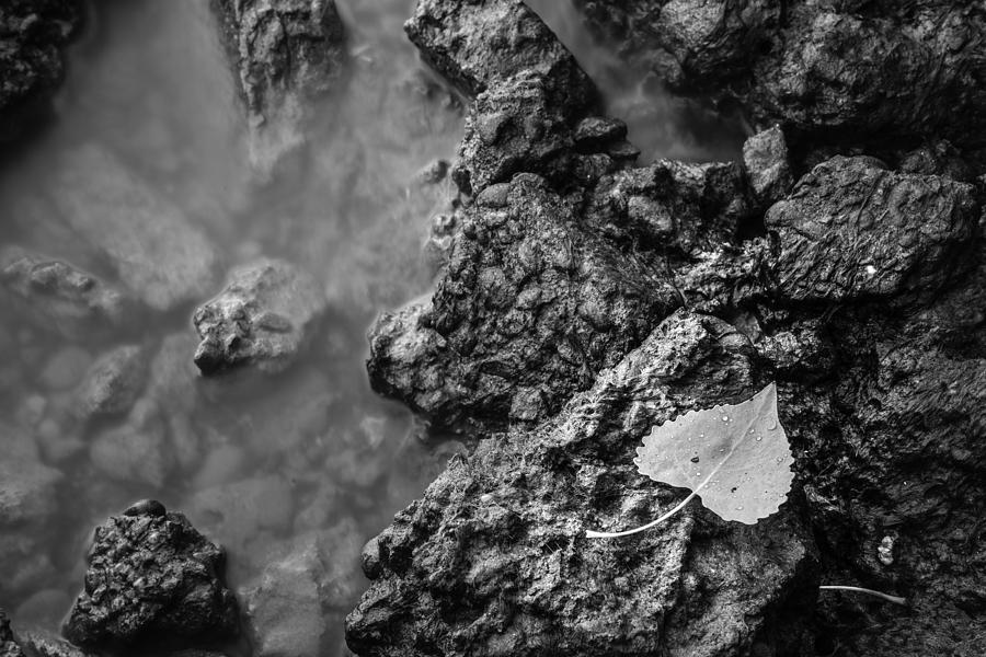 Blackandwhite Photograph - Wonders Of Nature... by Israel Marino Blackandwhite Photograph - Wonders Of Nature... by Israel Marino