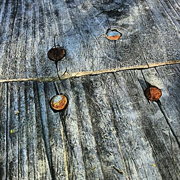 Abstract Photograph - Wood / Rusty Nails by Elisa Franzetta